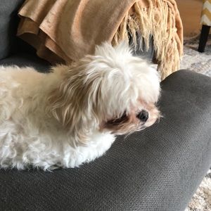 Meet your Posher, Joanne